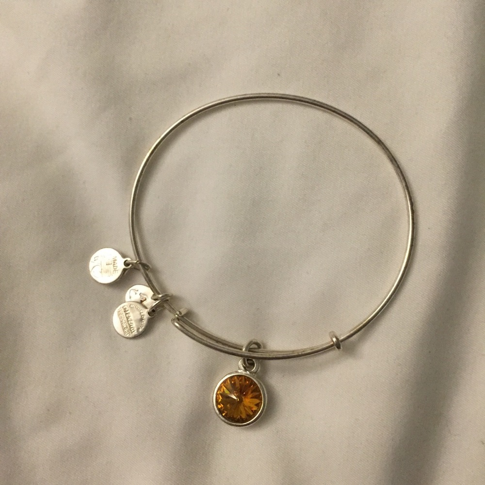 Alex and Ani charm bracelet